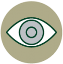 Vision Icon