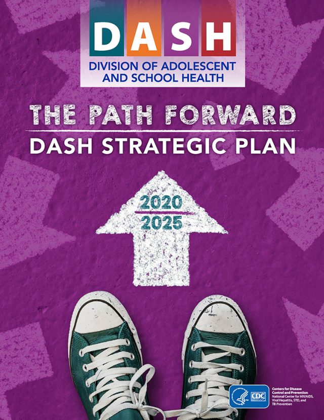 DASH Strategic Plan cover.